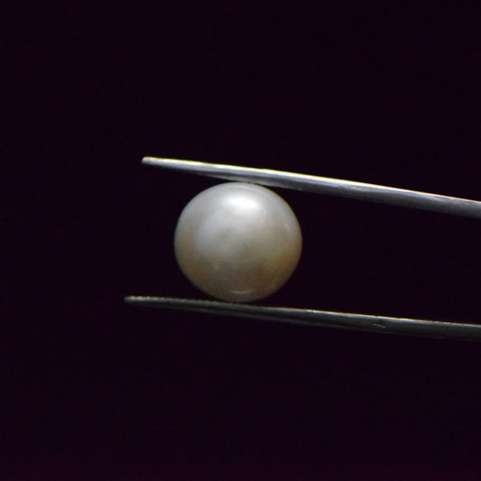 Fresh Water Pearl - 13.03 Carat