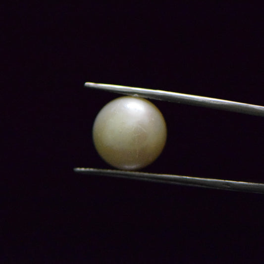 Fresh Water Pearl - 13.12 Carat