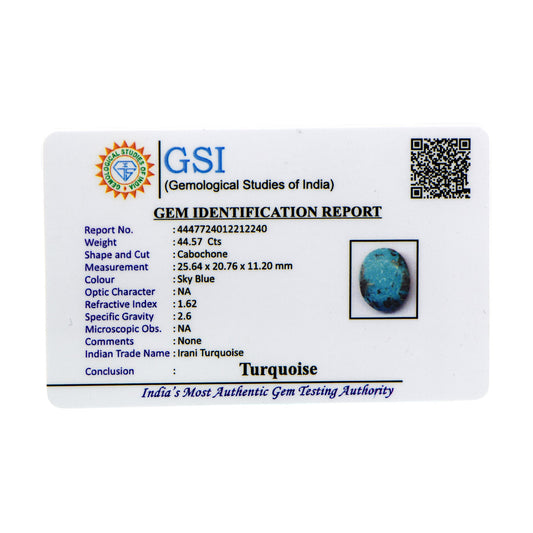 Irani Turquoise - 44.57 Carat / AA-Quality