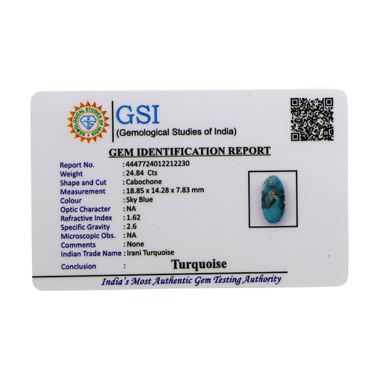 Irani Turquoise - 24.84 Carat / AA-Quality