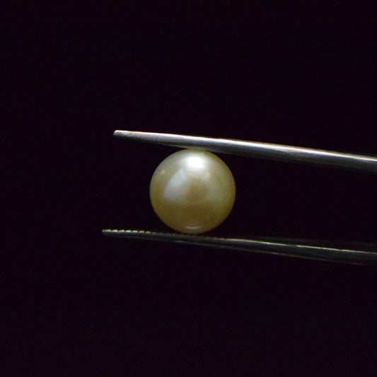 Fresh Water Pearl - 6.23 Carat