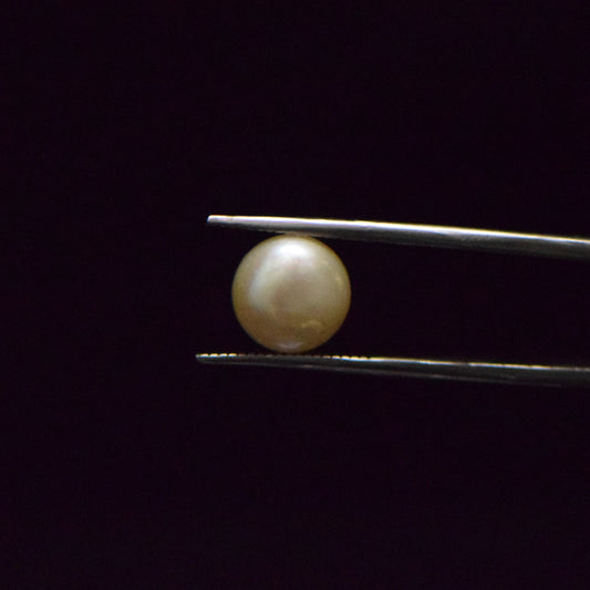 Fresh Water Pearl - 6.04 Carat
