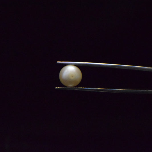 Fresh Water Pearl - 6.44 Carat