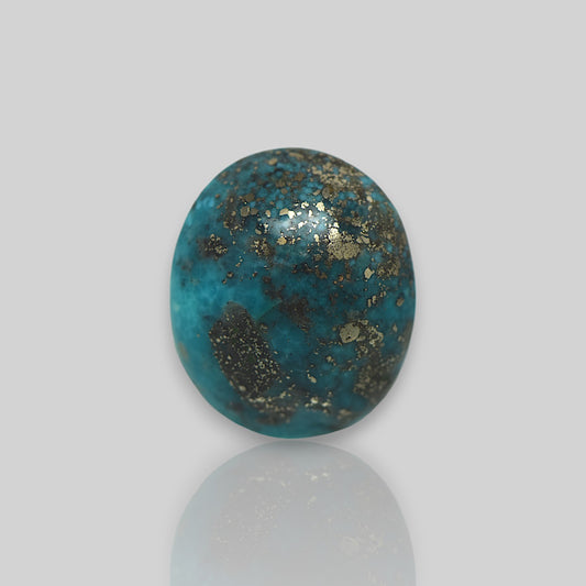 Irani Turquoise - 25.57 Carat / AA-Quality