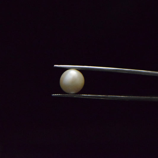 Fresh Water Pearl - 6.41 Carat