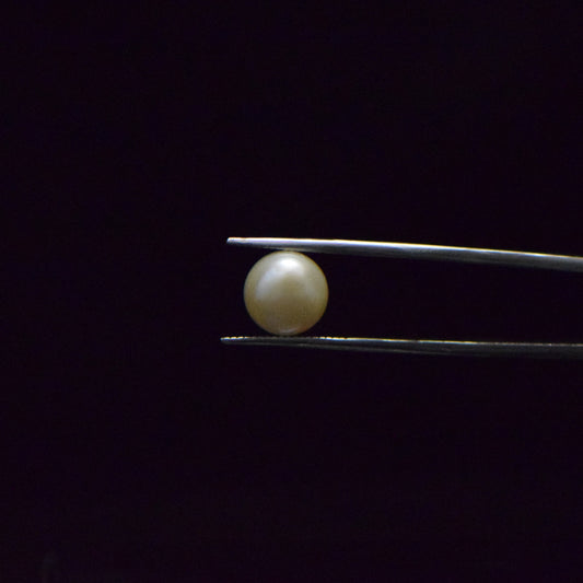 Fresh Water Pearl - 6.09 Carat
