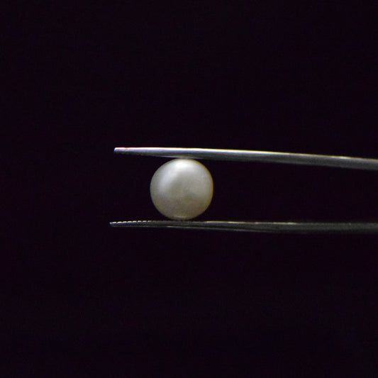 Fresh Water Pearl - 5.86 Carat