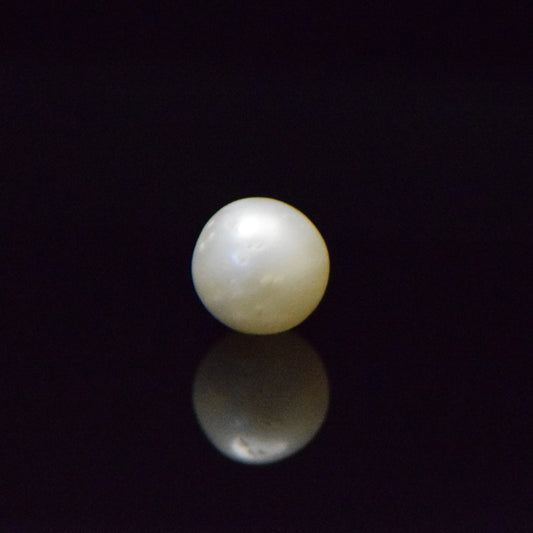 South Sea Pearl - 7.72 Carat
