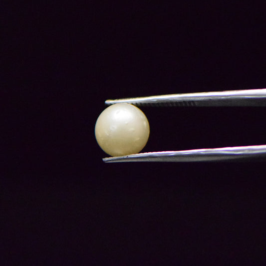 South Sea Pearl - 6.67 Carat