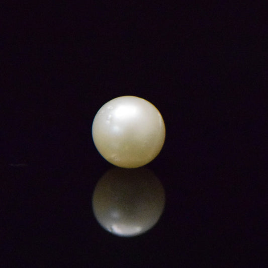 South Sea Pearl - 8.48 Carat