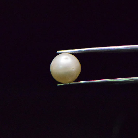 South Sea Pearl - 8.4 Carat