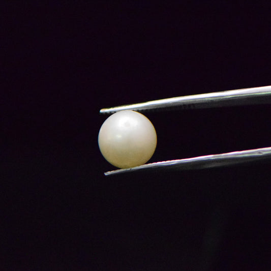 South Sea Pearl - 7.27 Carat