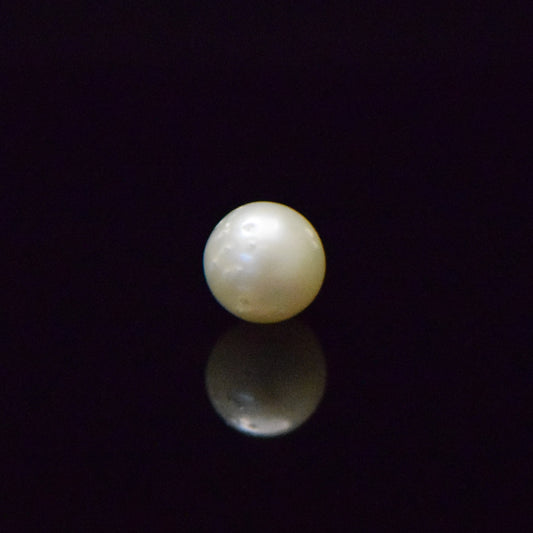 South Sea Pearl - 5.51 Carat