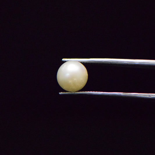 South Sea Pearl - 5.51 Carat