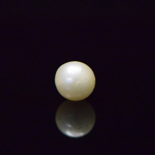 South Sea Pearl - 8.37 Carat