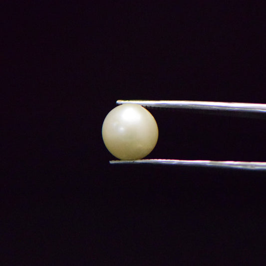 South Sea Pearl - 8.37 Carat