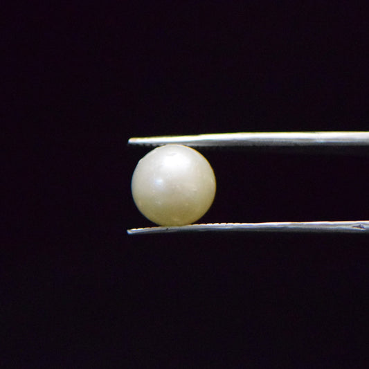 South Sea Pearl - 6.45 Carat