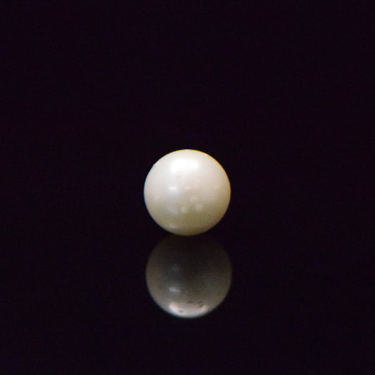 South Sea Pearl - 7.3 Carat