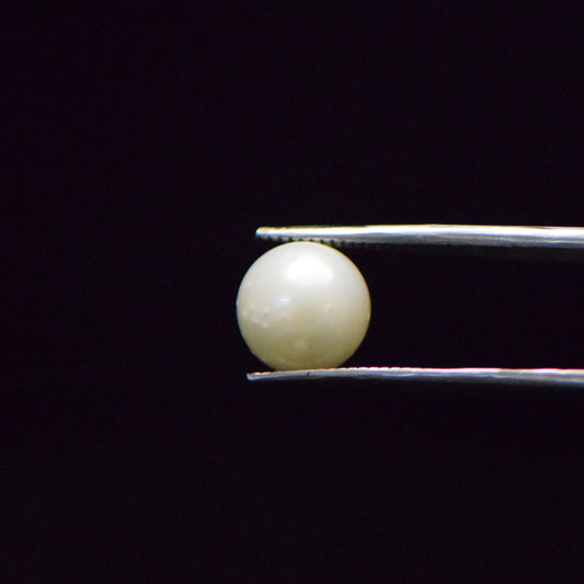 South Sea Pearl - 7.3 Carat