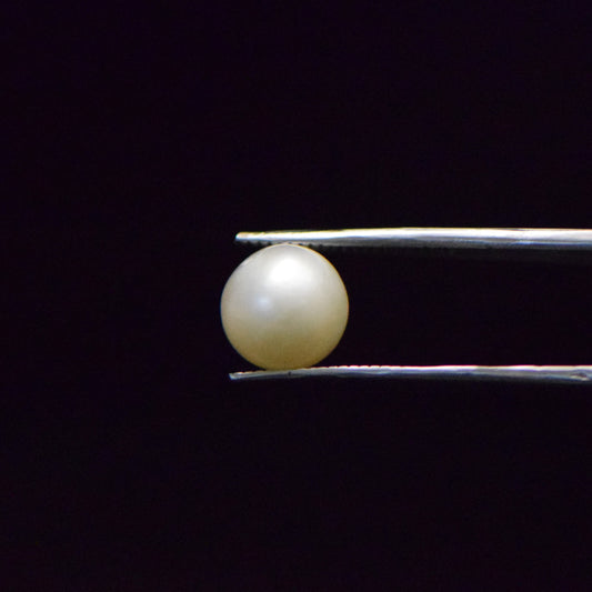South Sea Pearl - 6.78 Carat