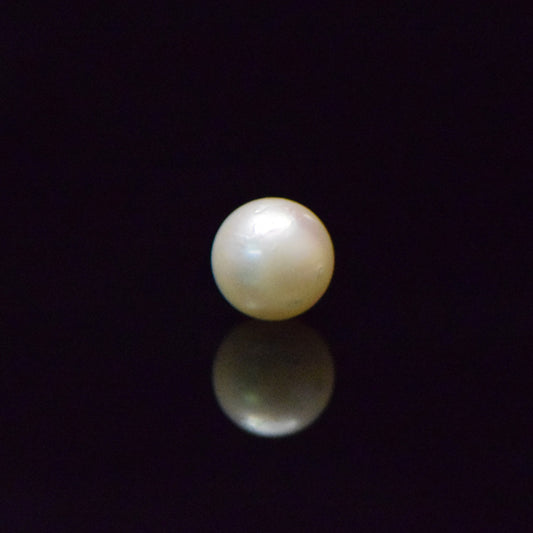 South Sea Pearl - 6.57 Carat