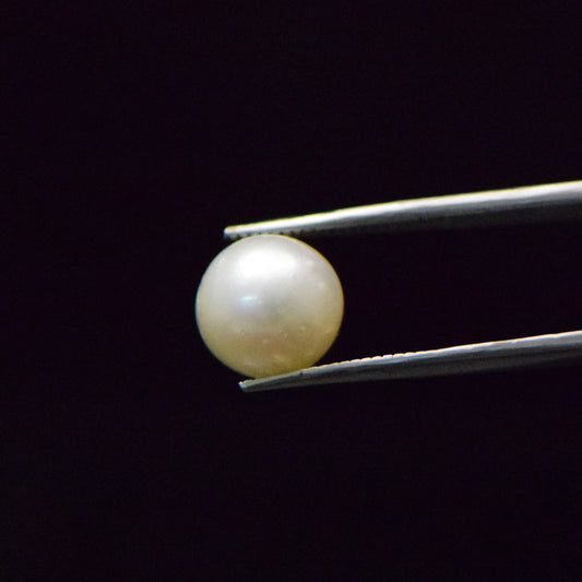 South Sea Pearl - 9.3 Carat