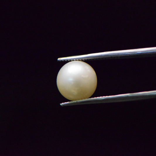 South Sea Pearl - 9.27 Carat
