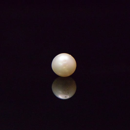 South Sea Pearl - 5.51 Carat
