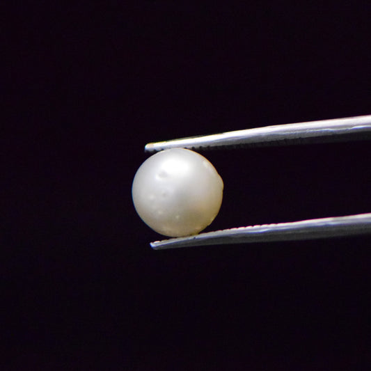 South Sea Pearl - 5.51 Carat