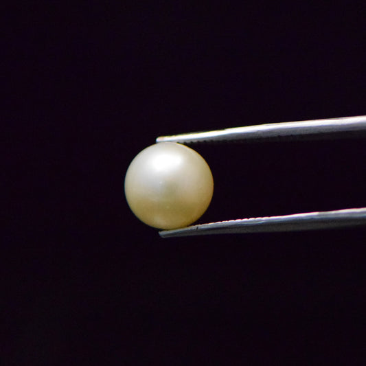 South Sea Pearl - 7.69 Carat