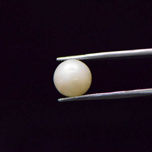 South Sea Pearl - 8.43 Carat
