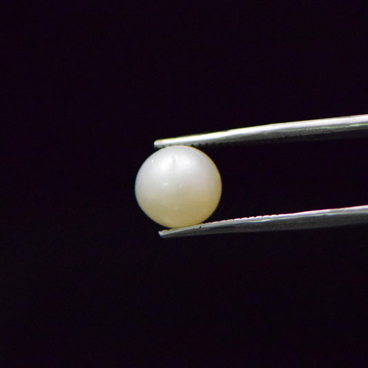 South Sea Pearl - 5.57 Carat