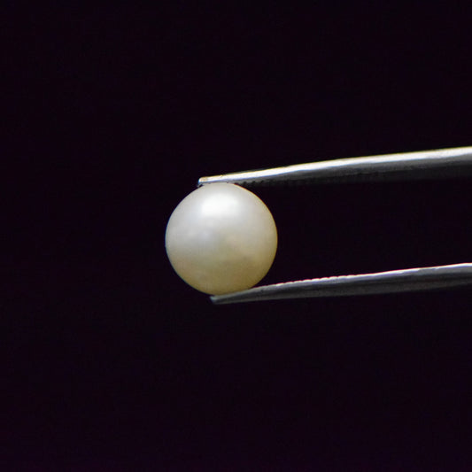 South Sea Pearl - 7.37 Carat