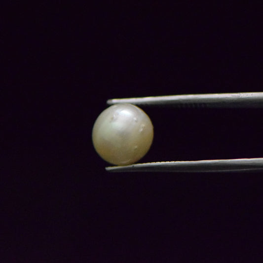 South Sea Pearl - 7.45 Carat
