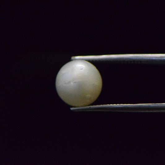 South Sea Pearl - 9.18 Carat