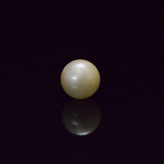 South Sea Pearl - 7.67 Carat