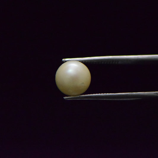 South Sea Pearl - 7.67 Carat