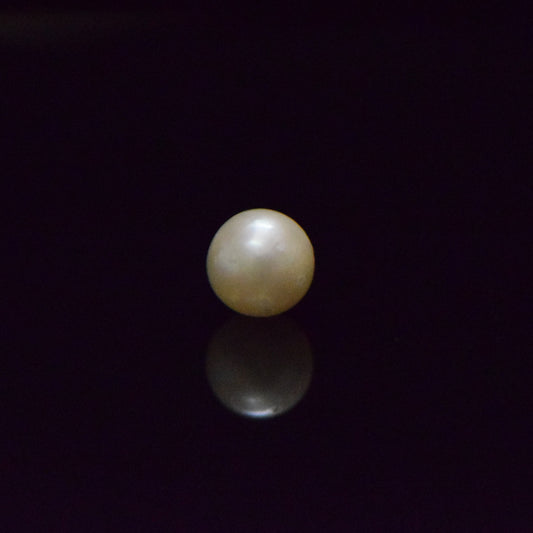 South Sea Pearl - 5.55 Carat