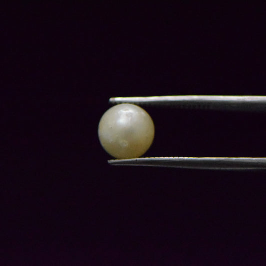 South Sea Pearl - 5.55 Carat