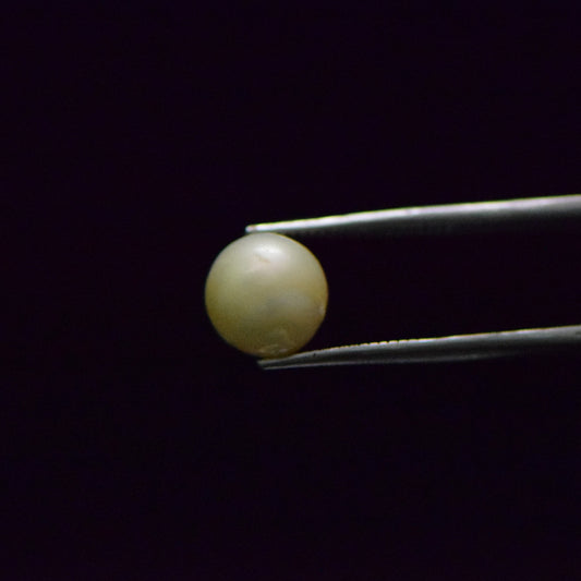 South Sea Pearl - 7.37 Carat