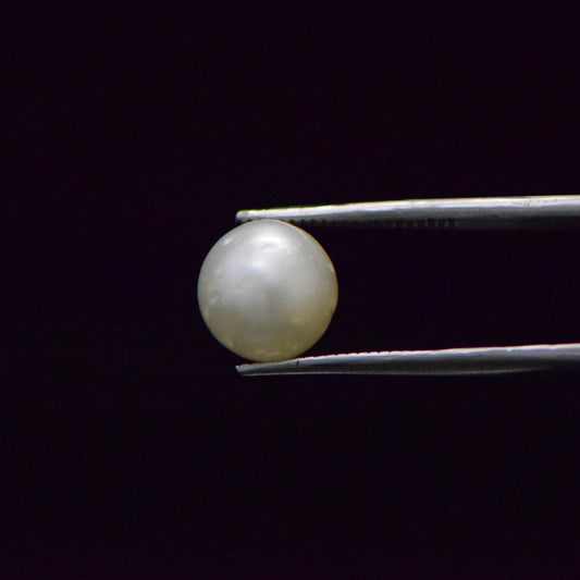 South Sea Pearl - 8.52 Carat