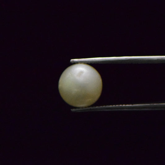 South Sea Pearl - 8.51 Carat