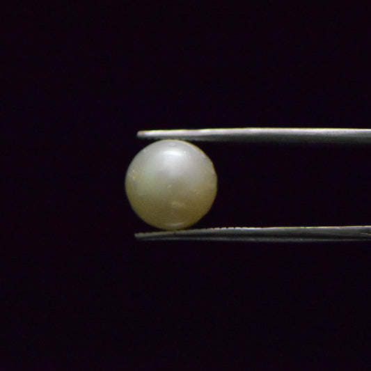 South Sea Pearl - 8.38 Carat