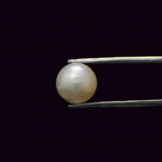 South Sea Pearl - 9.37 Carat