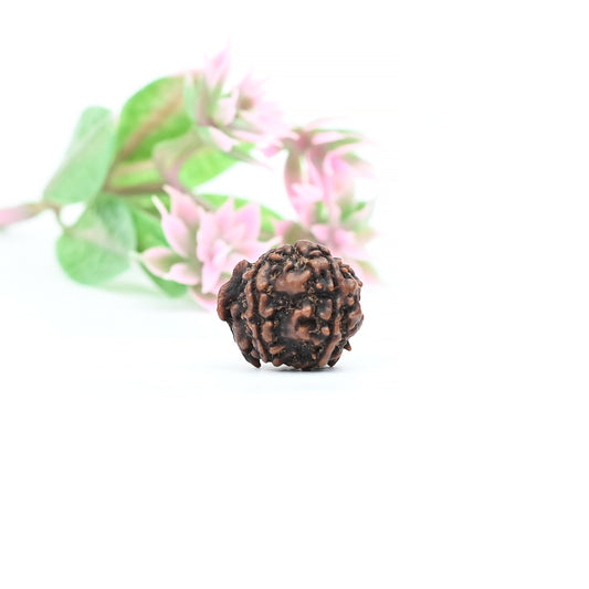 Natural Ganesha Nepali Rudraksha With Certificate-GR88