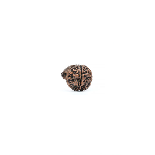 Natural Ganesha Nepali Rudraksha With Certificate-GR90