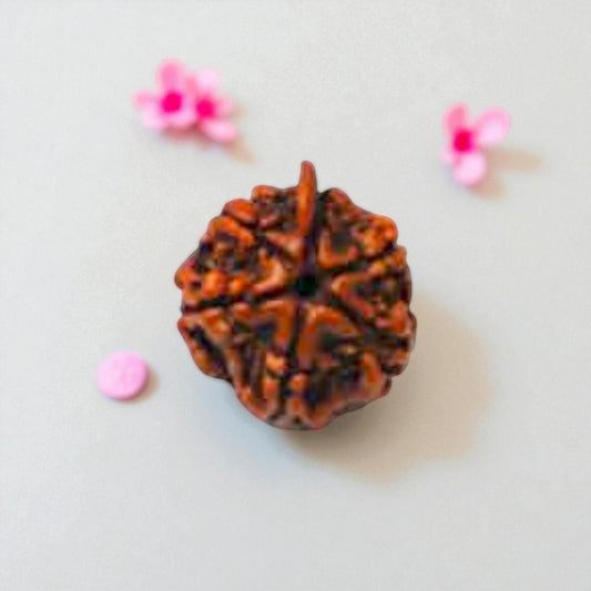 Natural Ganesh Rudraksha Beads