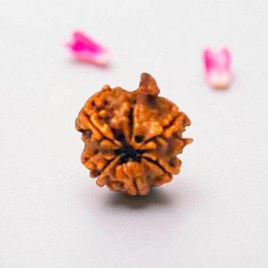 Natural Ganesh Rudraksha Beads