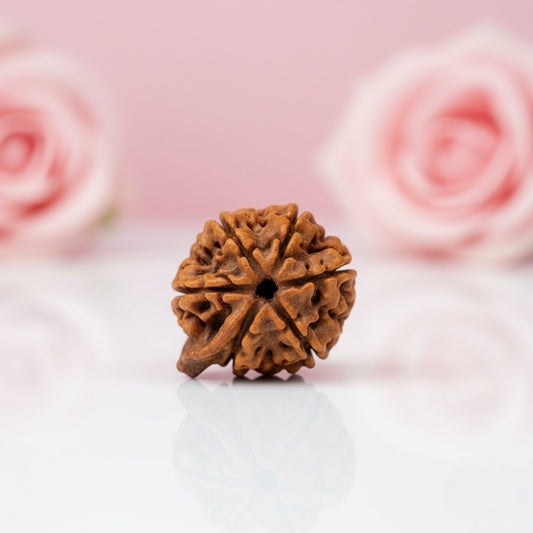 Natural Ganesh Rudraksha Beads – AAA Premium Quality