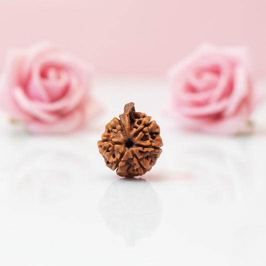 Natural Ganesh Rudraksha Beads – AAA Premium Quality